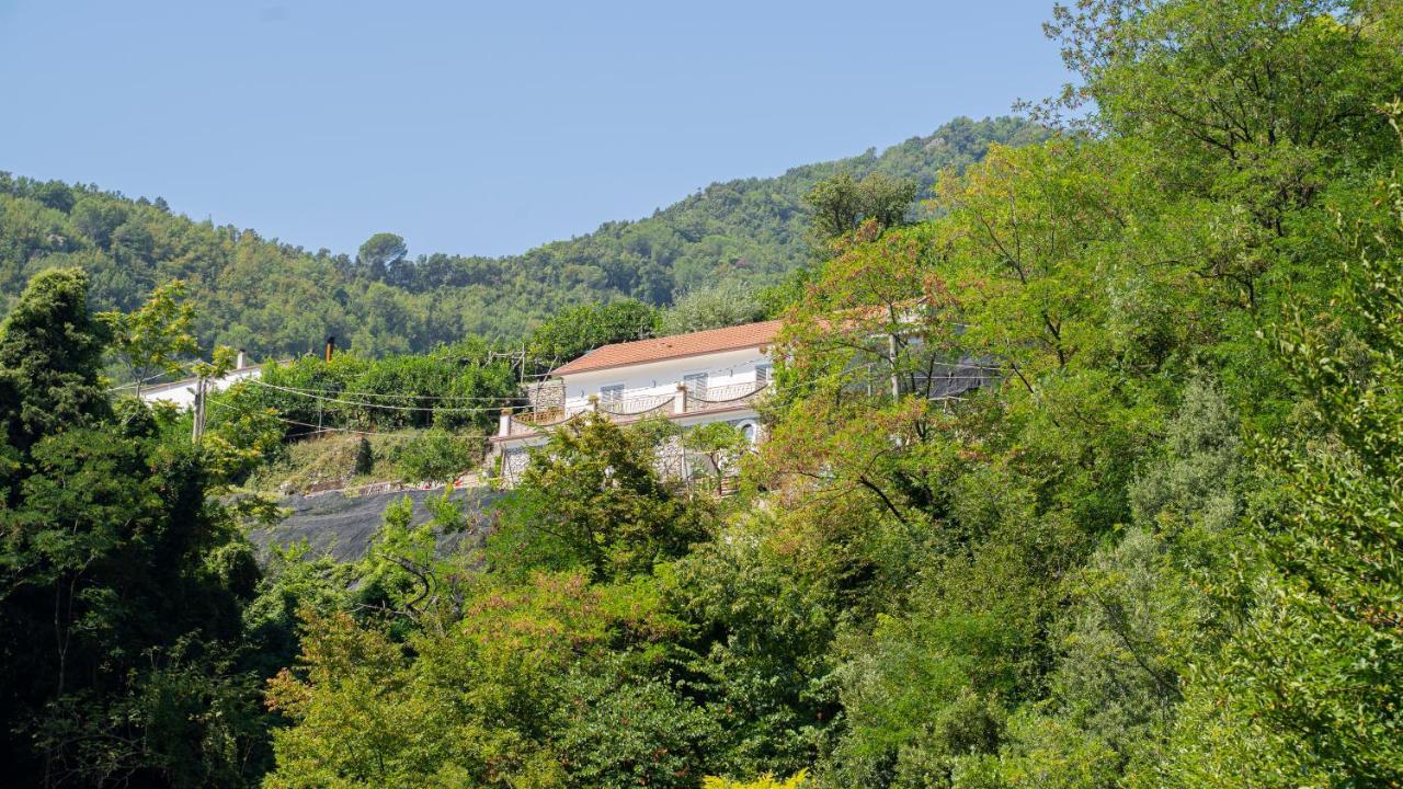 Tra Sole E Limoni Apartments Tramonti Buitenkant foto